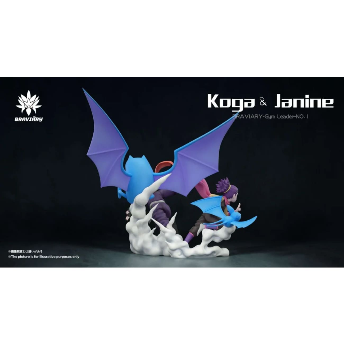 Braviary Studio - Fuchsia Gym Koga Set / Janine Set