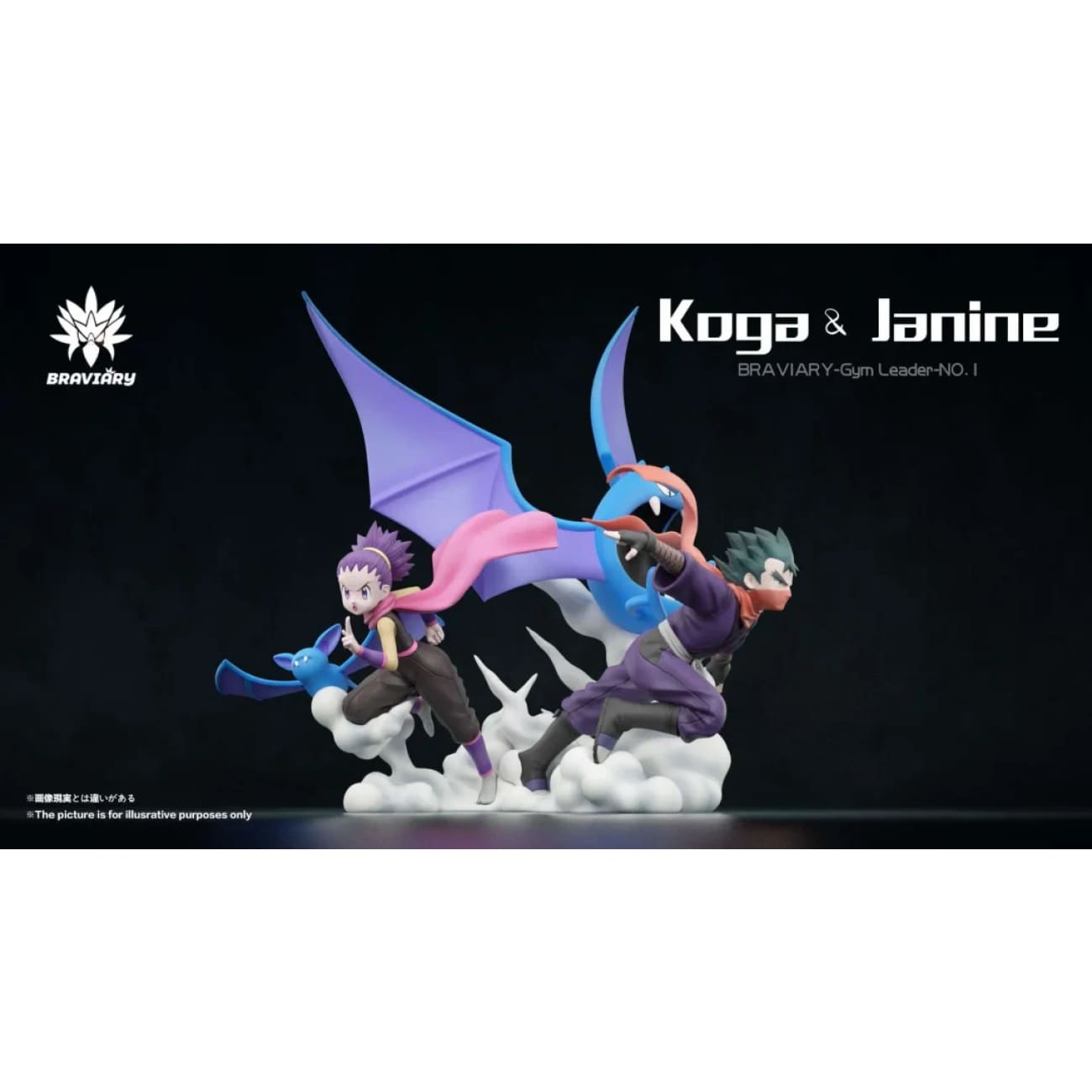 Braviary Studio - Fuchsia Gym Koga Set / Janine Set