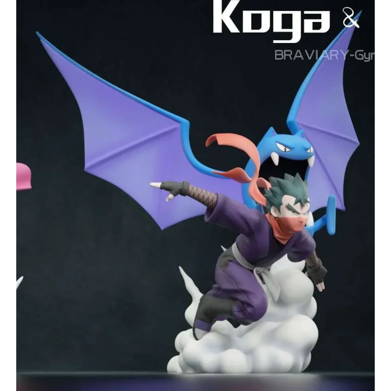 Braviary Studio - Fuchsia Gym Koga Set / Janine Set