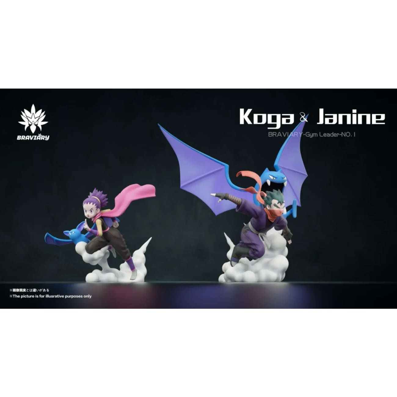 Braviary Studio - Fuchsia Gym Koga Set / Janine Set
