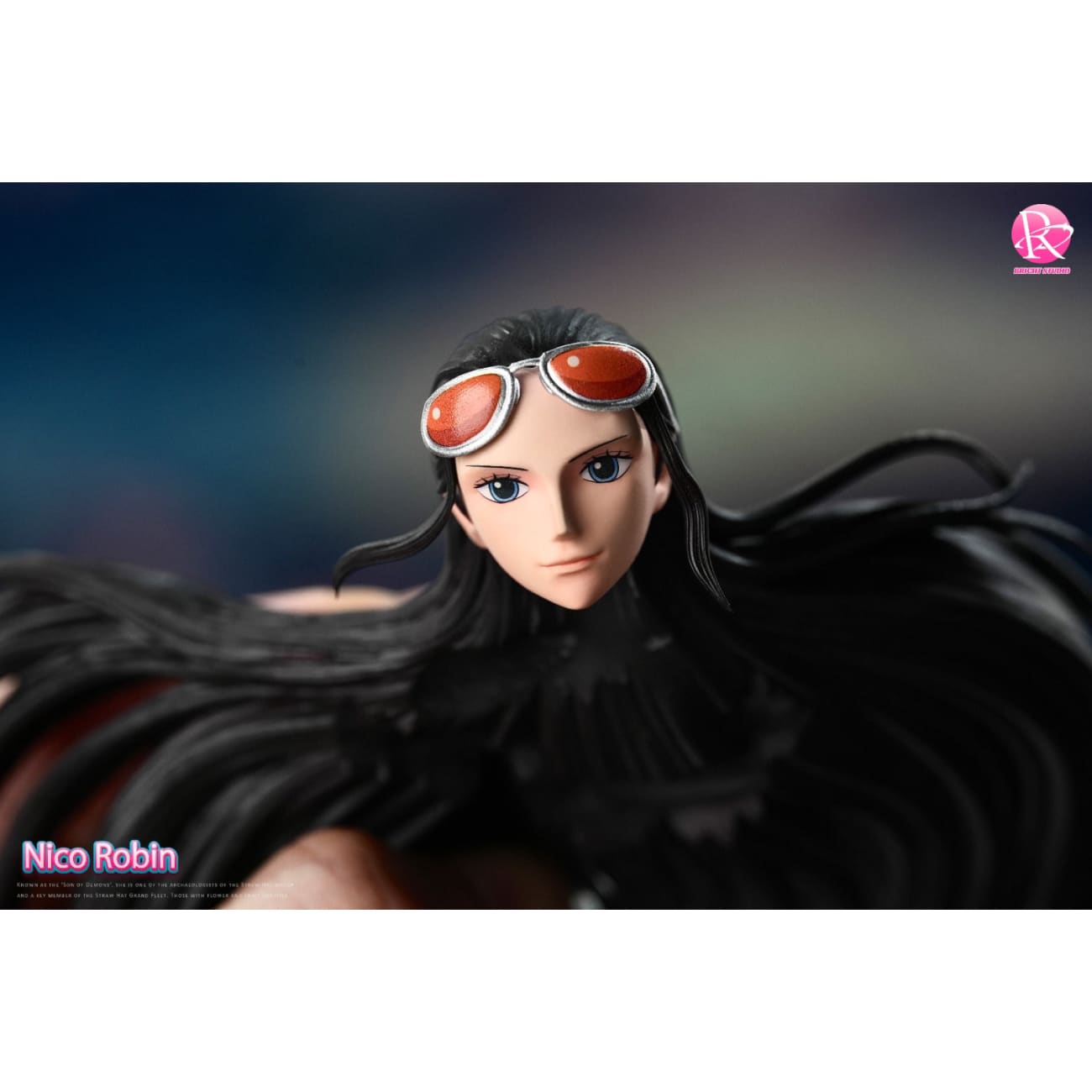 Bright Studio - Robin on Punk Hazard