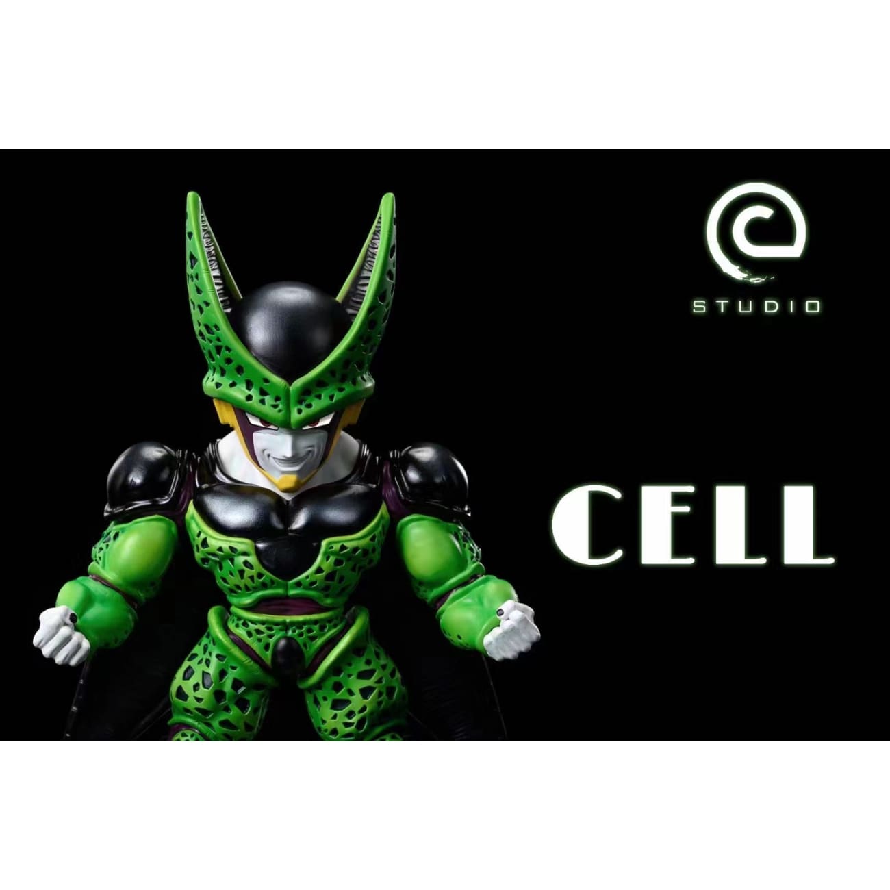 C Studio - Muscles Cell