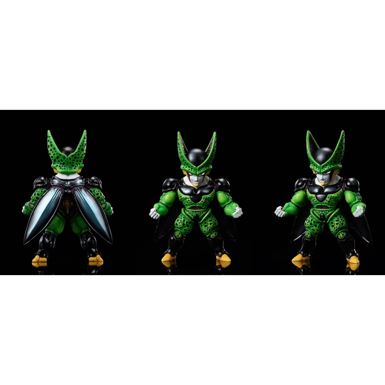C Studio - Muscles Cell
