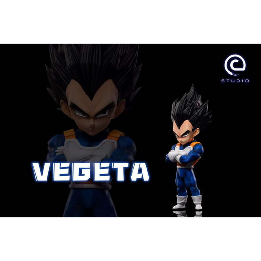 C Studio - Vegeta