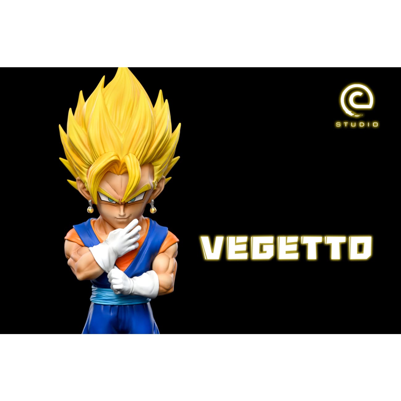 C Studio - Vegetto