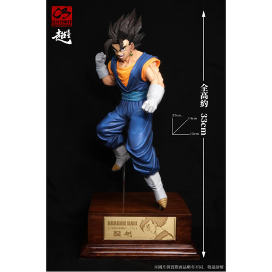 C3 Studio - Vegetto