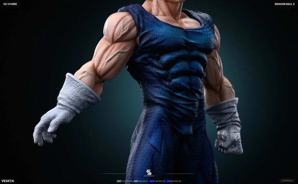 SG Studio - Majin Vegeta [4 Variants]