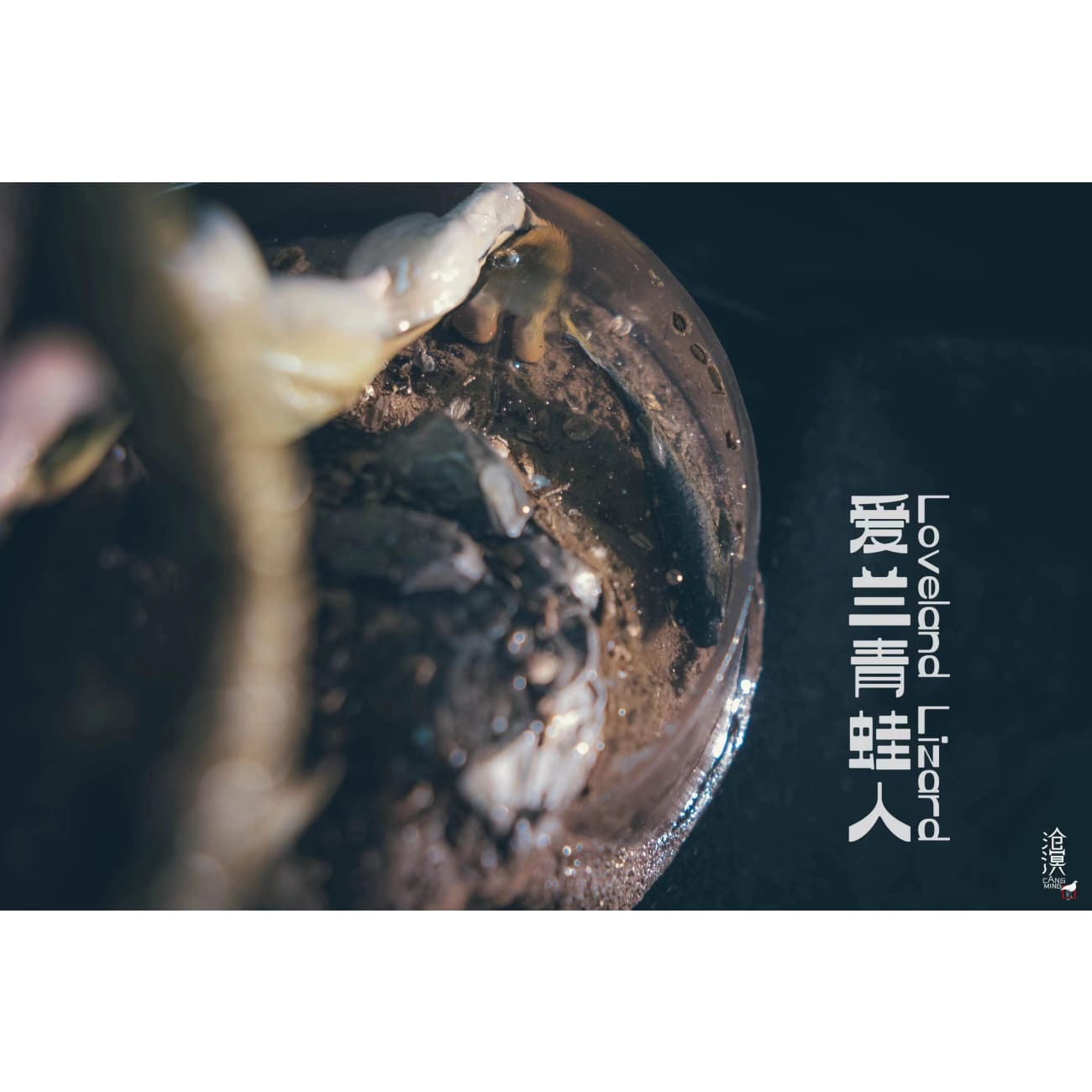 Cang Ming Studio - Loveland Lizard [2 Variants]