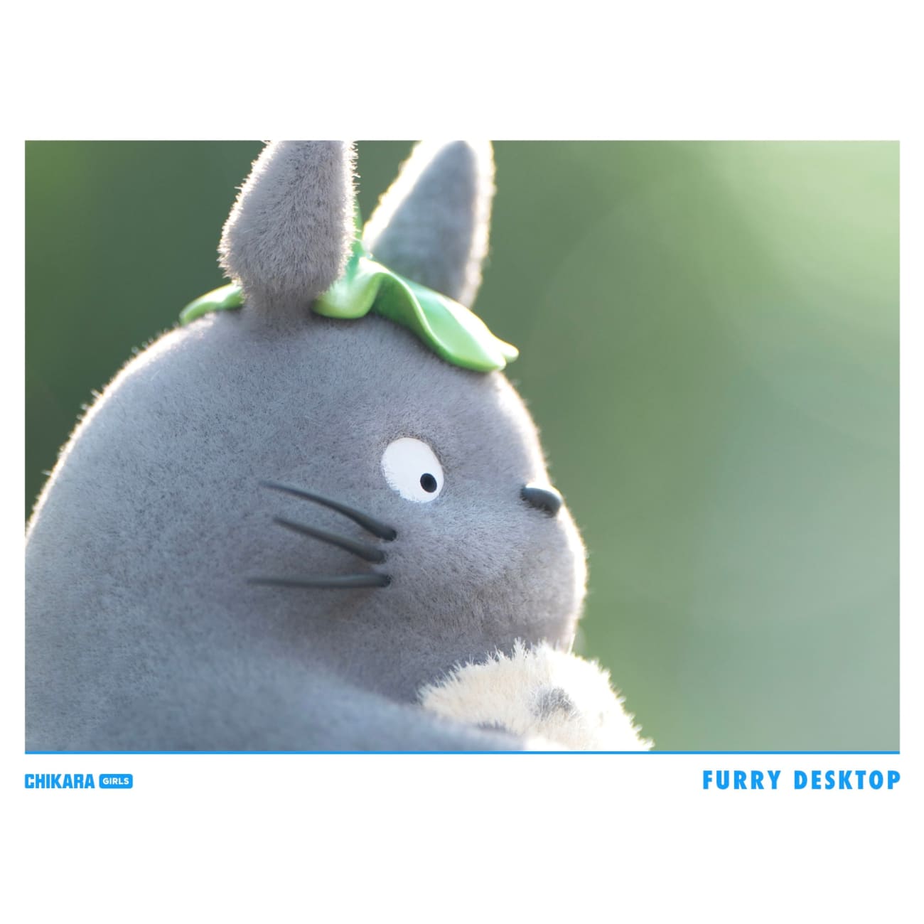 CHIKARA Studio - Fishing Totoro