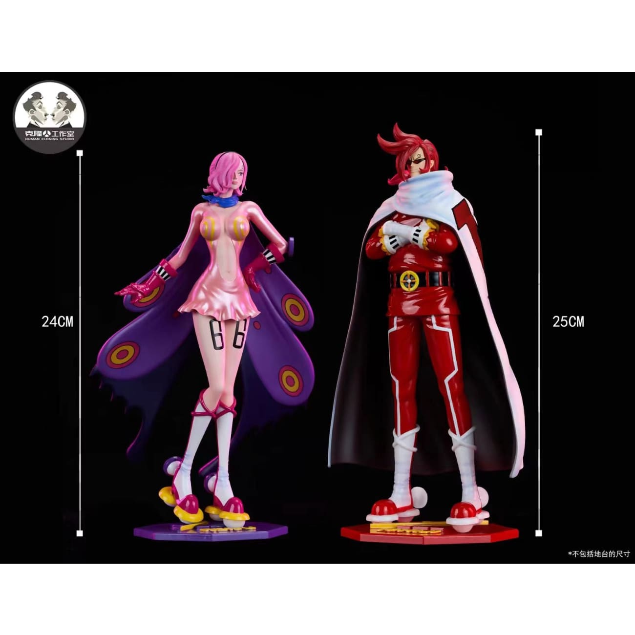 Clone Studio / Human Cloning Studio - Vinsmoke Reiju & Vinsmoke Ichiji