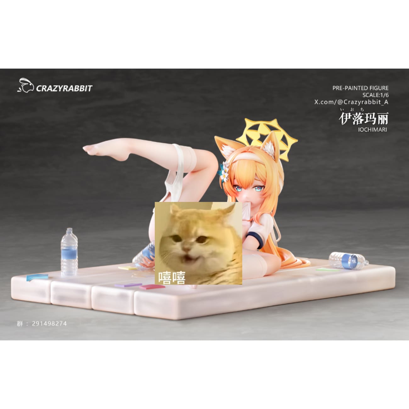 Crazy Rabbit Studio - Iochi Mari