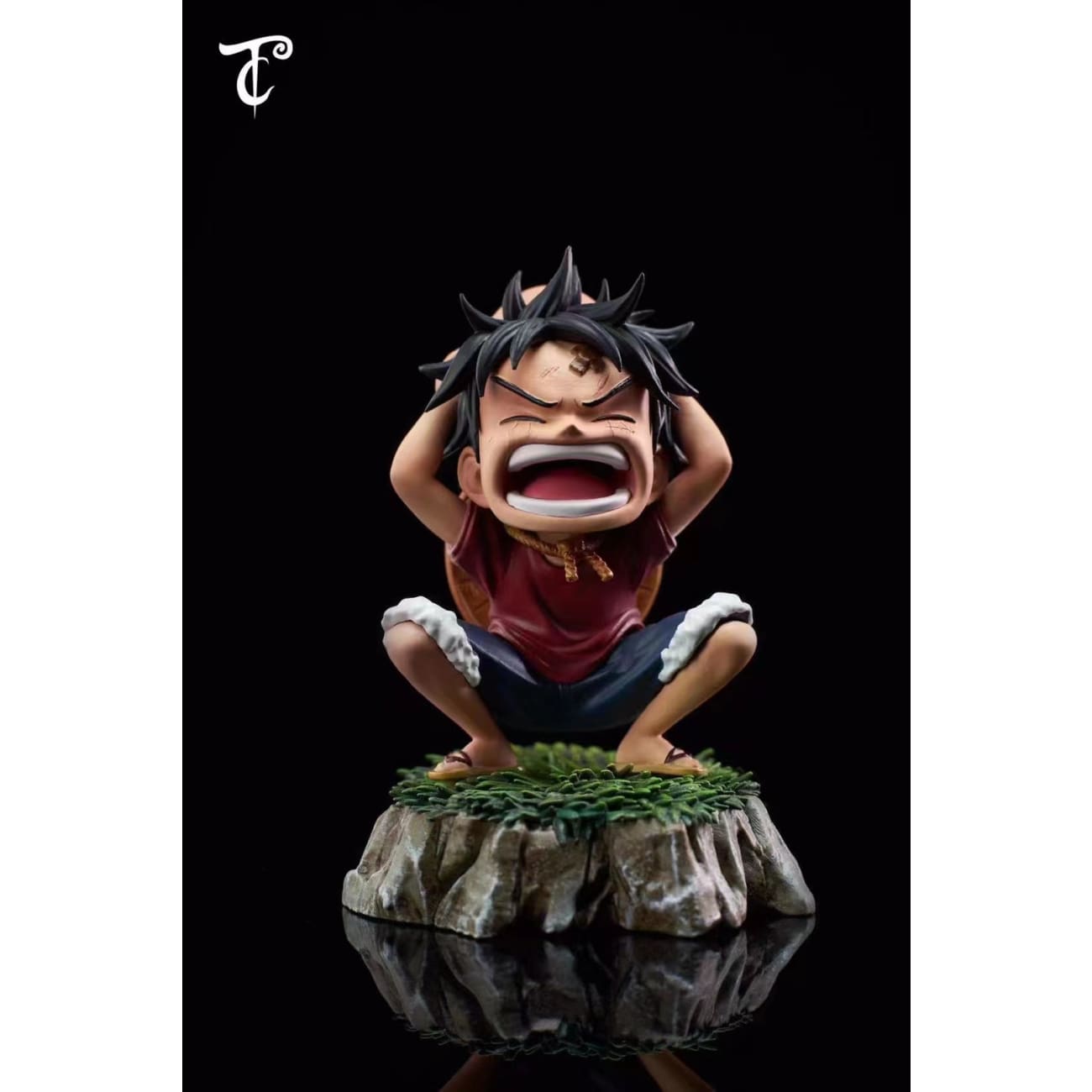 CT Studio - Monkey D Luffy Crying [Version A / Version B]