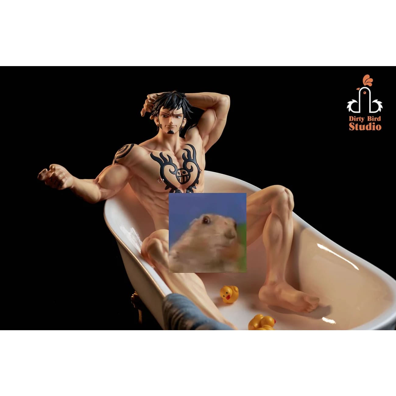 Dirty Bird Studio - Trafalgar D. Water Law