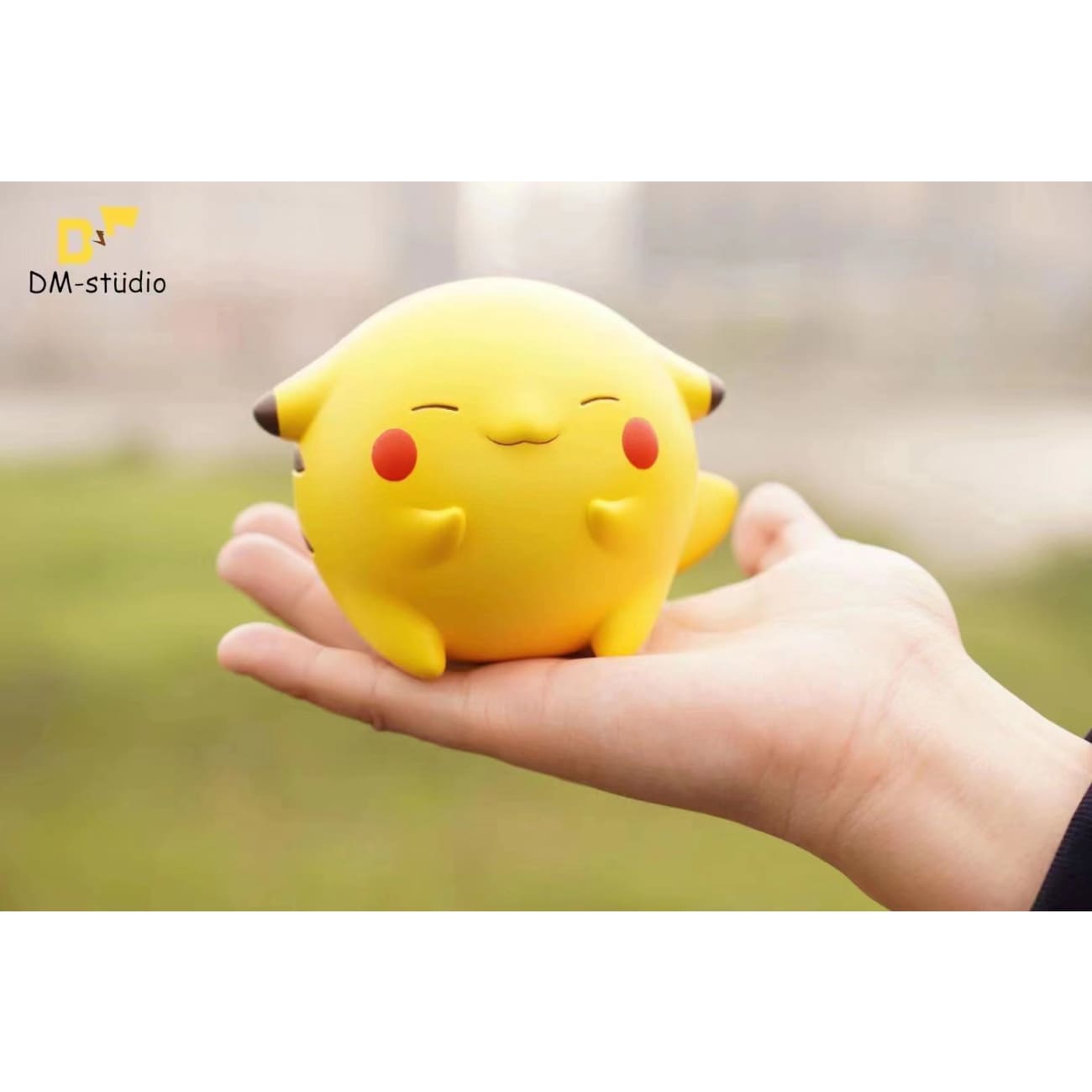 Dm Studio - Fatty Cute Pichu/ Fatty Cute Pikachu [2