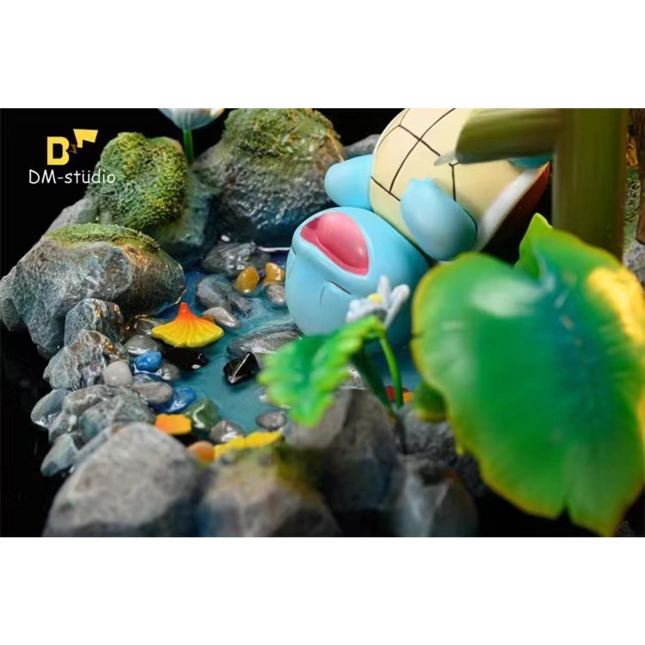 DM Studio - Squirtle