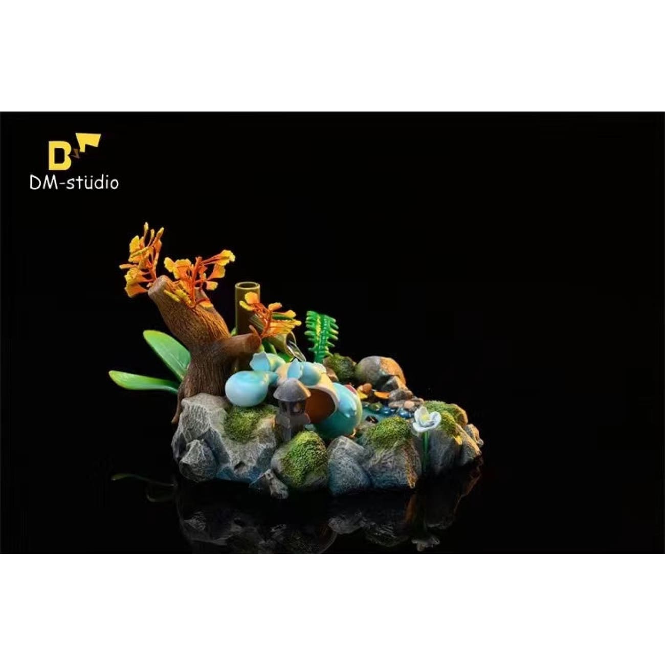 DM Studio - Squirtle