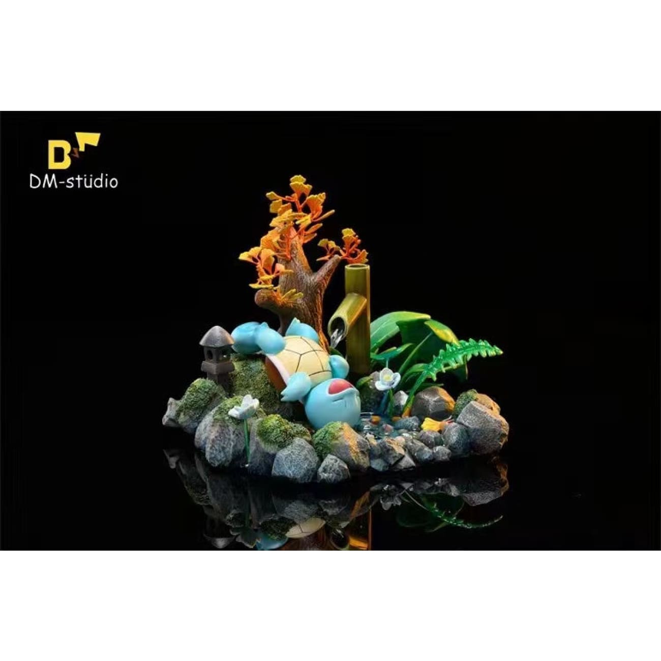 DM Studio - Squirtle
