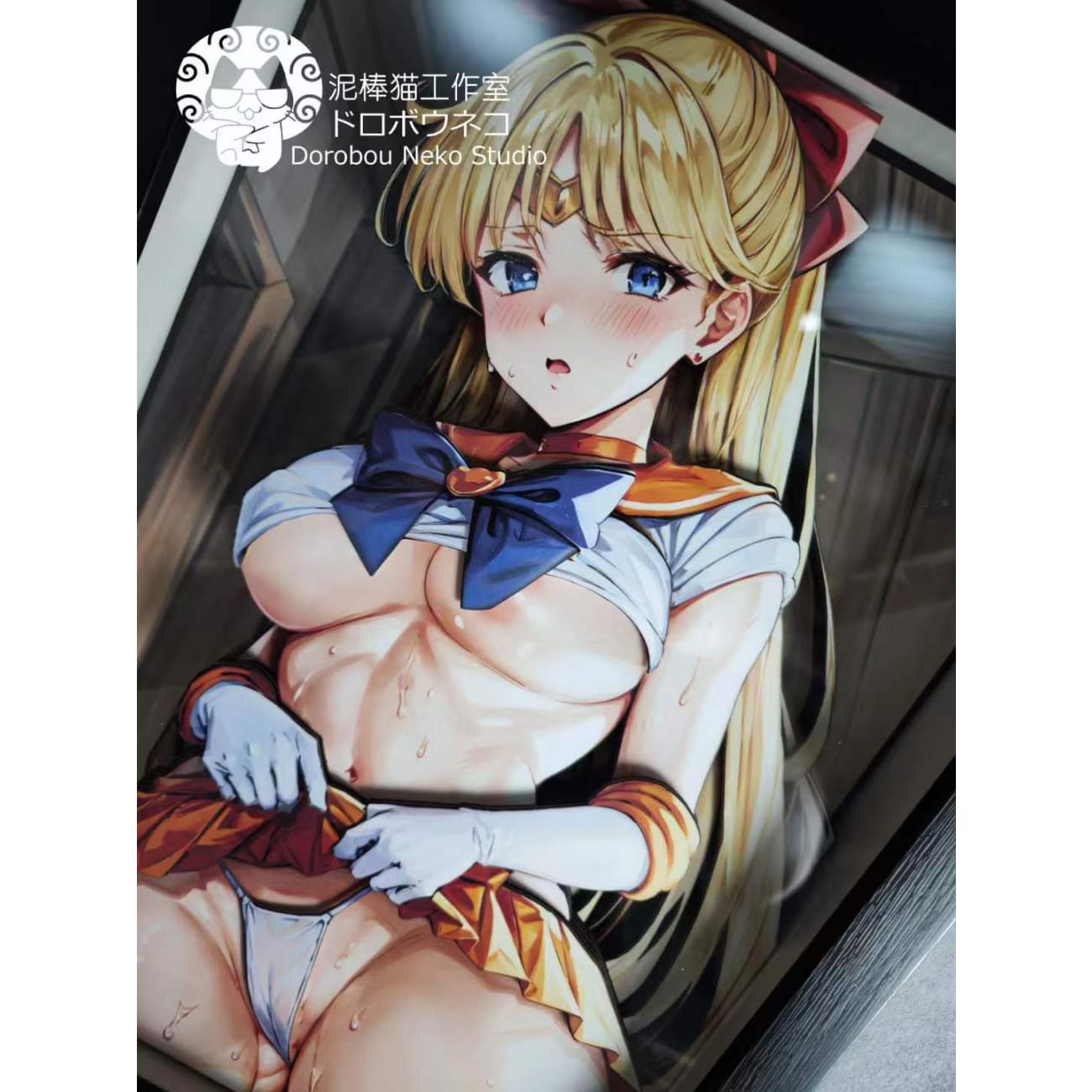 Dorobou Neko Studio - Aino Minako 3D Cast Off Poster Frame [DSMG-029]