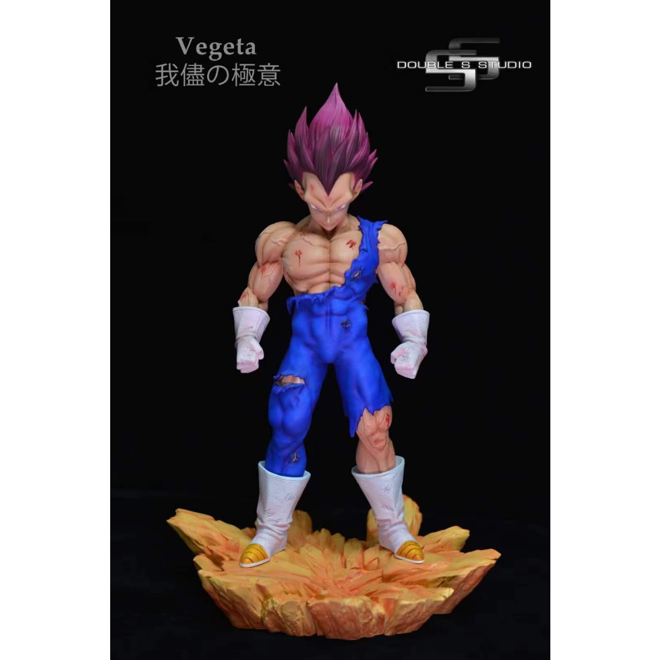 Double S Studio - God of Destruction Vegeta 