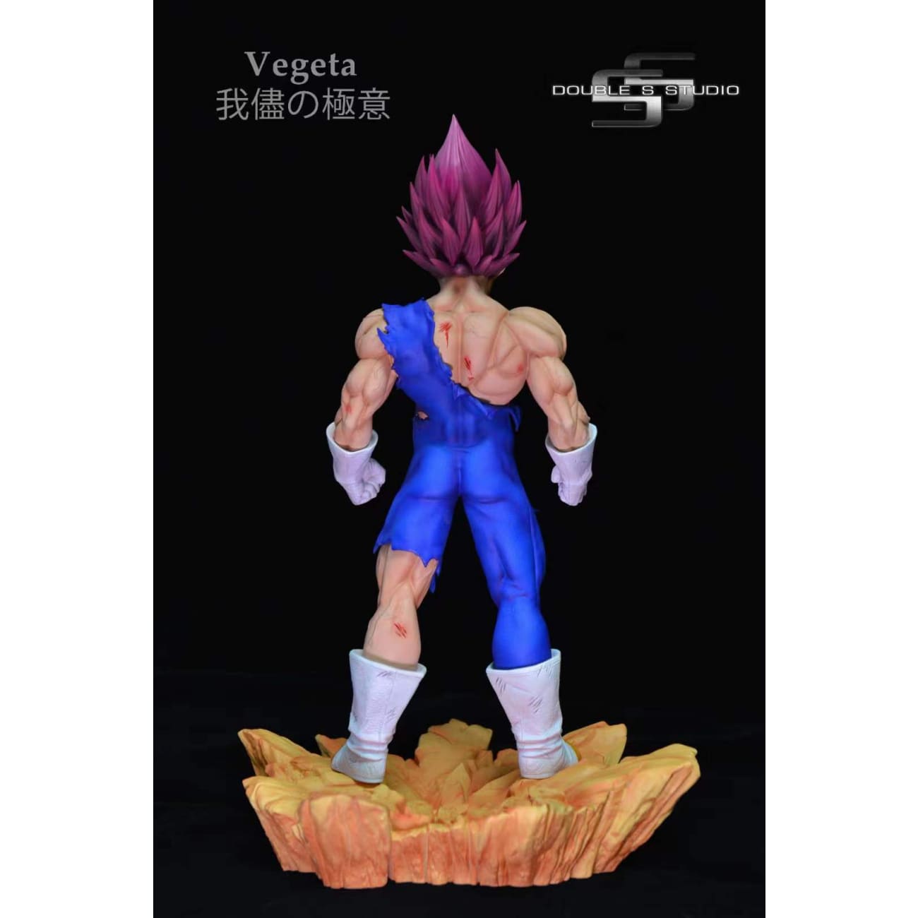 Double S Studio - God of Destruction Vegeta 