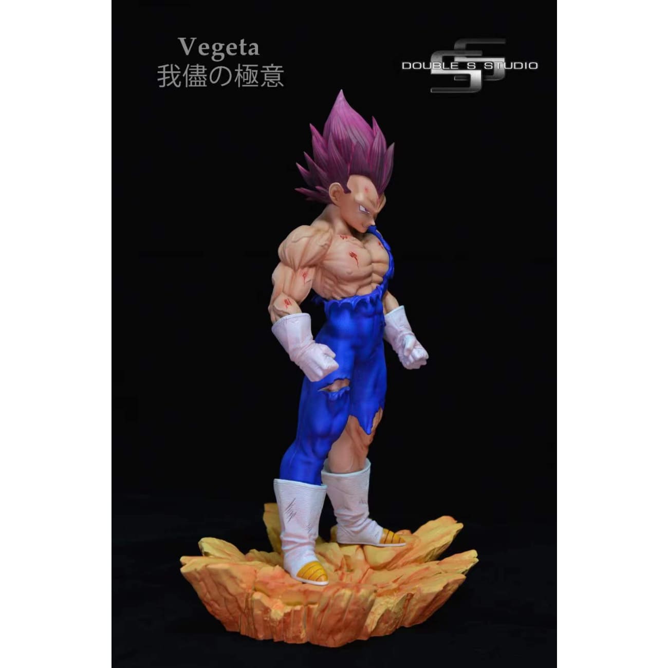 Double S Studio - God of Destruction Vegeta 