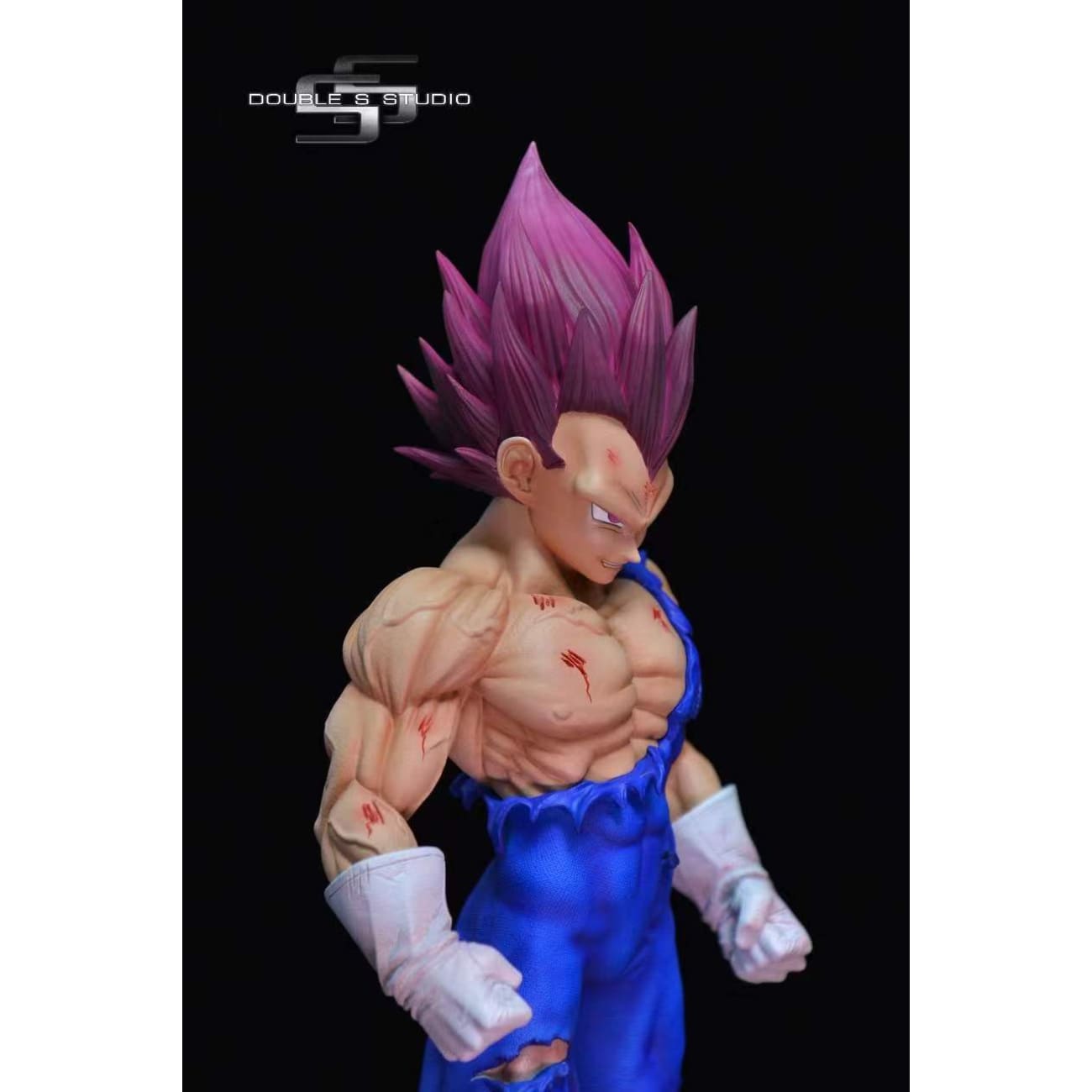 Double S Studio - God of Destruction Vegeta 