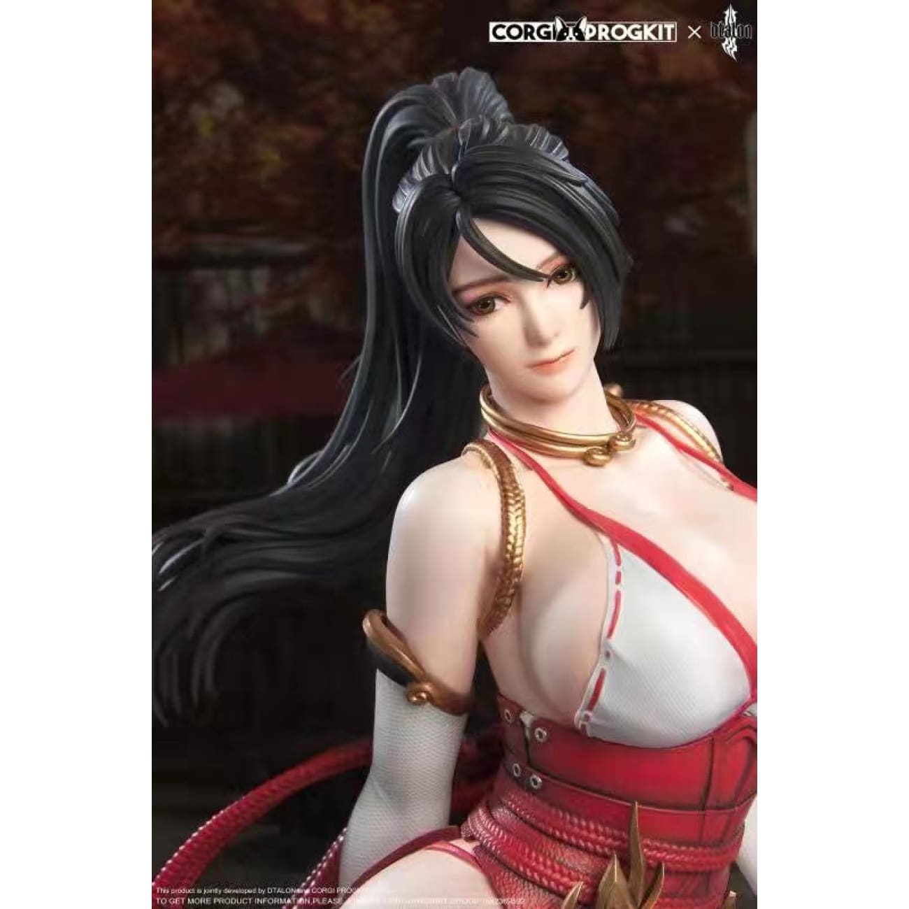 Dtalon Studio X Corg Progkit - Momiji