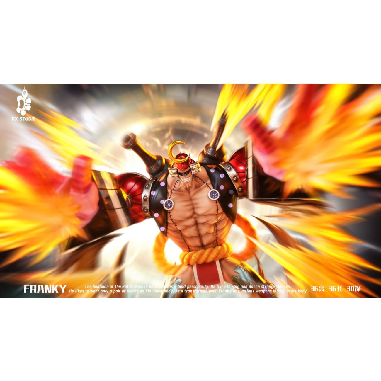 DX Studio - Franky [3 Variants]