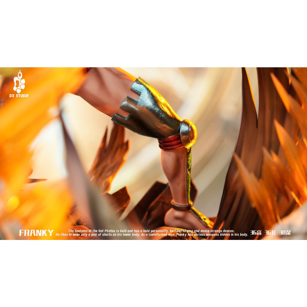 DX Studio - Franky [3 Variants]
