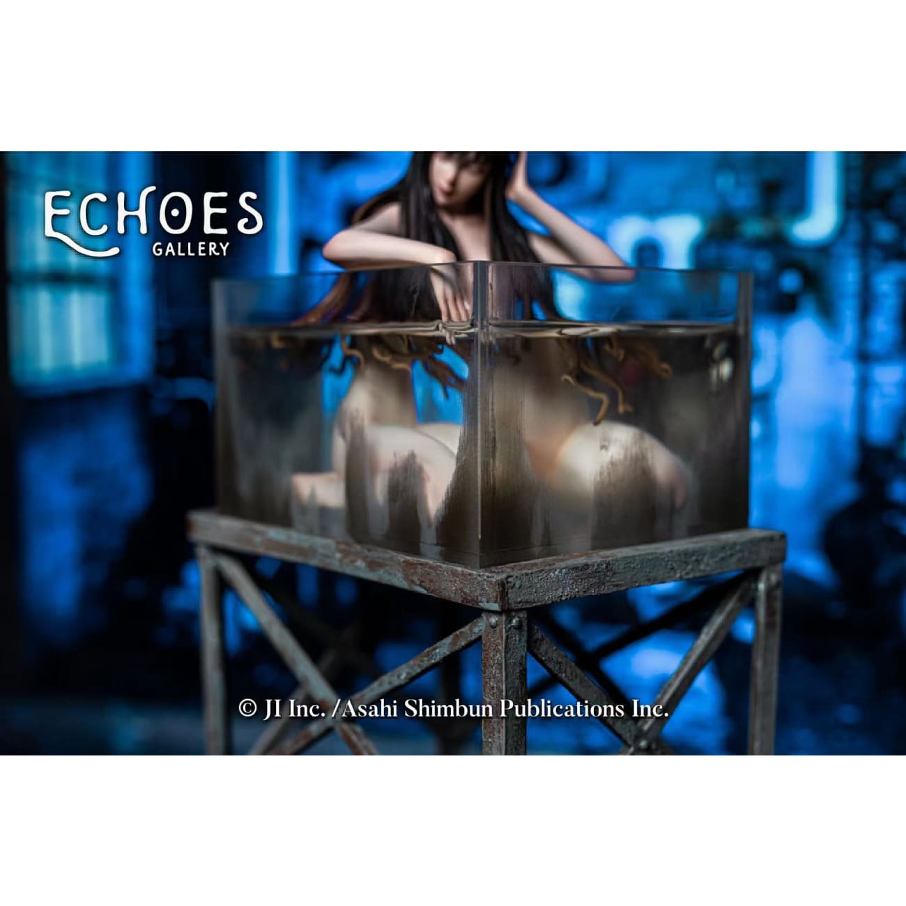 Echoes Gallery - Tomie