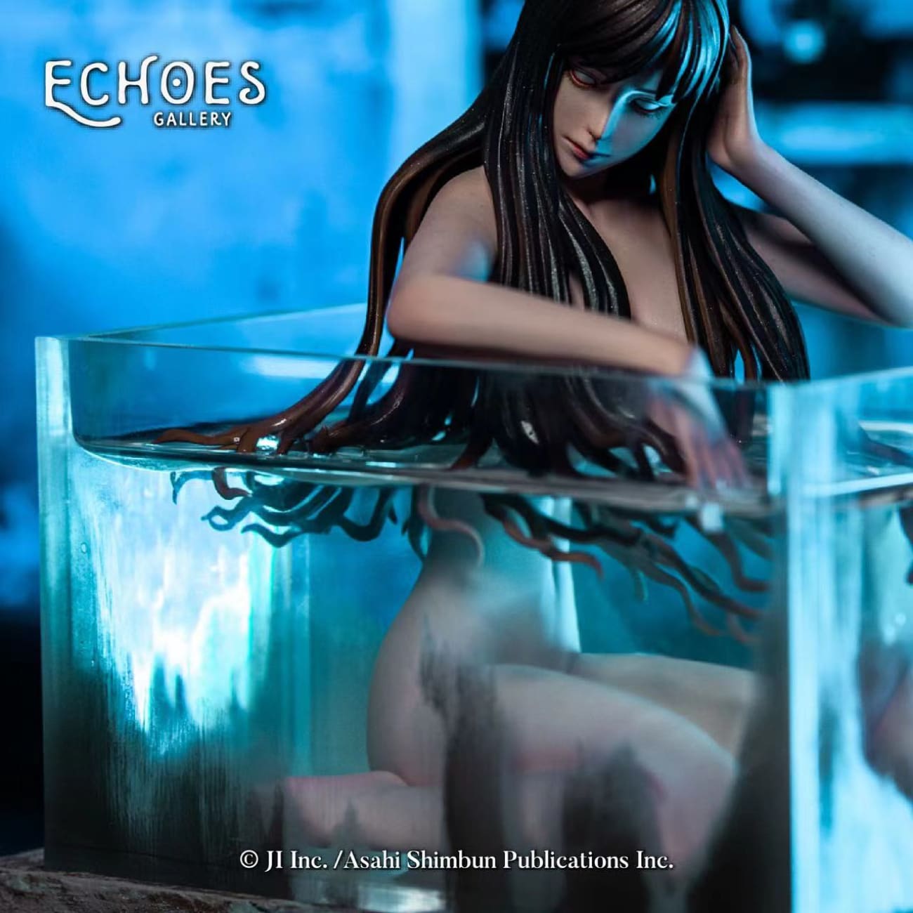 Echoes Gallery - Tomie