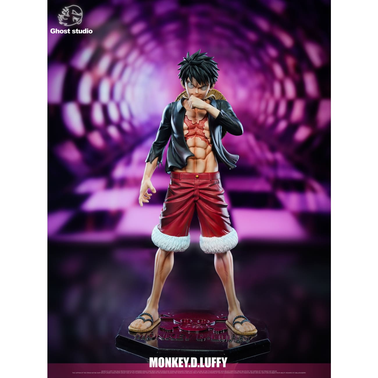 Ghost Studio - Luffy in the Mirror World