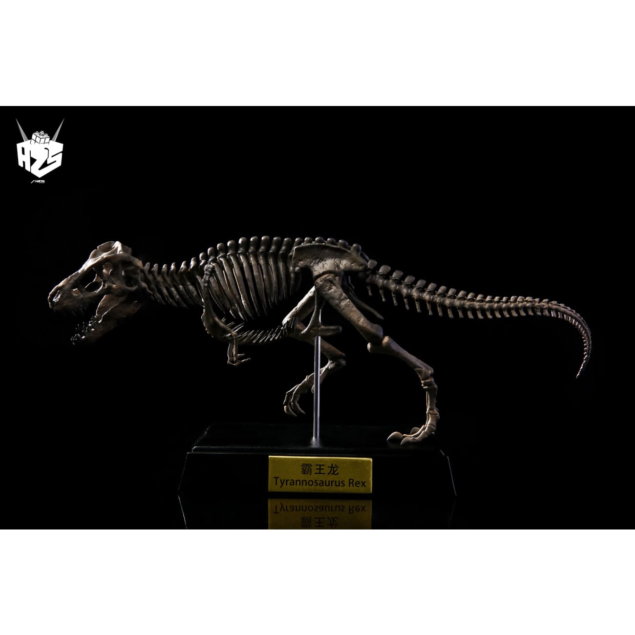 He Zuo She Studio / HSZ Studio - Tyrannosaurus Rex Skeleton