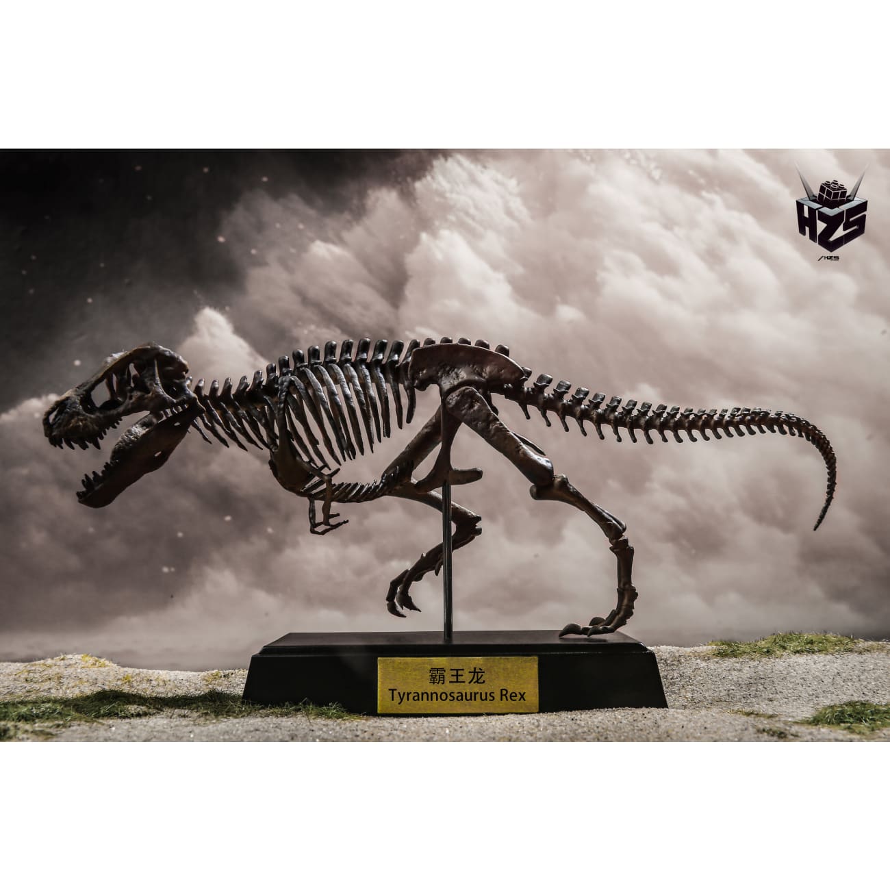 He Zuo She Studio / HSZ Studio - Tyrannosaurus Rex Skeleton