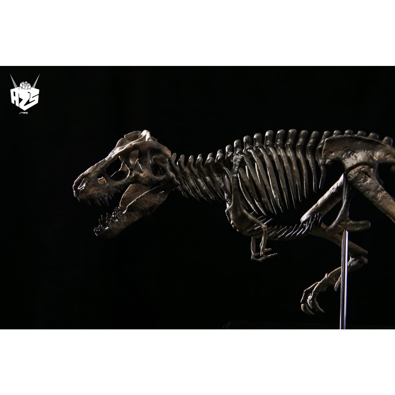 He Zuo She Studio / HSZ Studio - Tyrannosaurus Rex Skeleton
