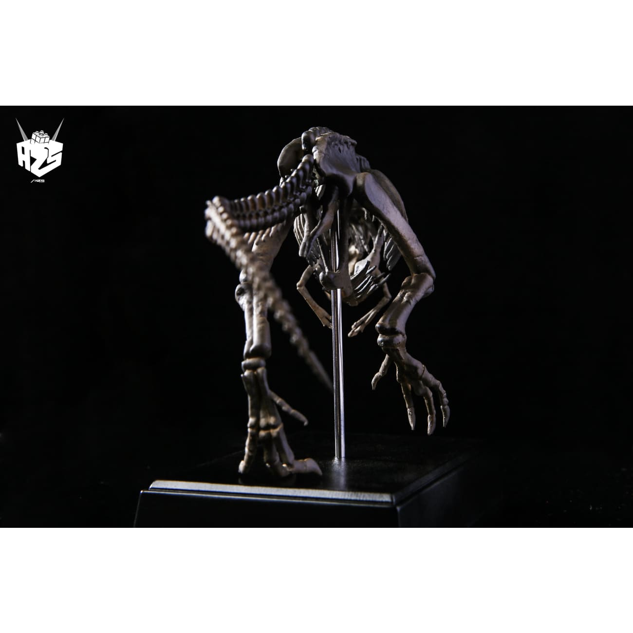 He Zuo She Studio / HSZ Studio - Tyrannosaurus Rex Skeleton