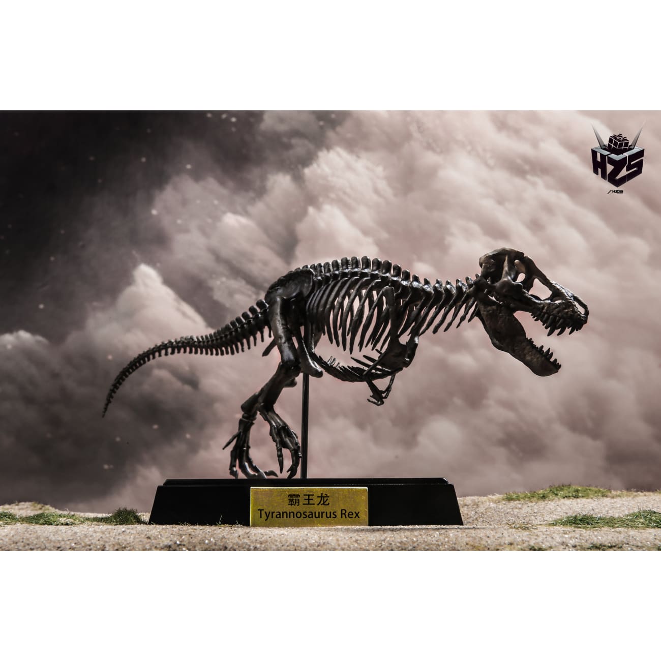 He Zuo She Studio / HSZ Studio - Tyrannosaurus Rex Skeleton