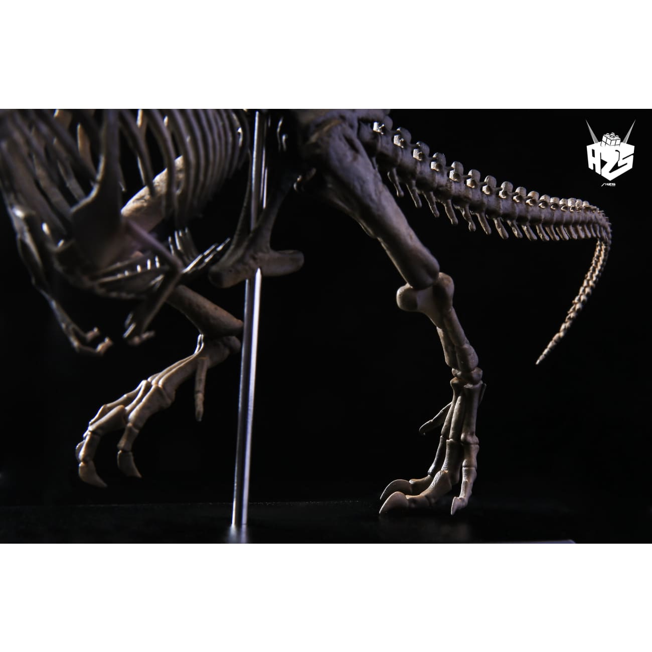 He Zuo She Studio / HSZ Studio - Tyrannosaurus Rex Skeleton