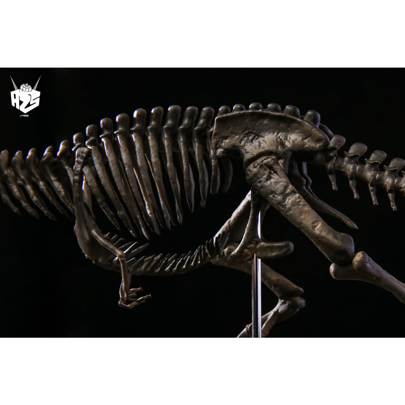He Zuo She Studio / HSZ Studio - Tyrannosaurus Rex Skeleton
