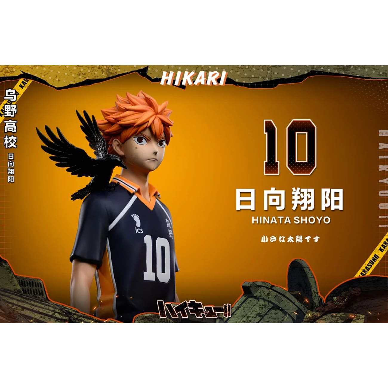 HIKARI Studio - Shoyo Hinata