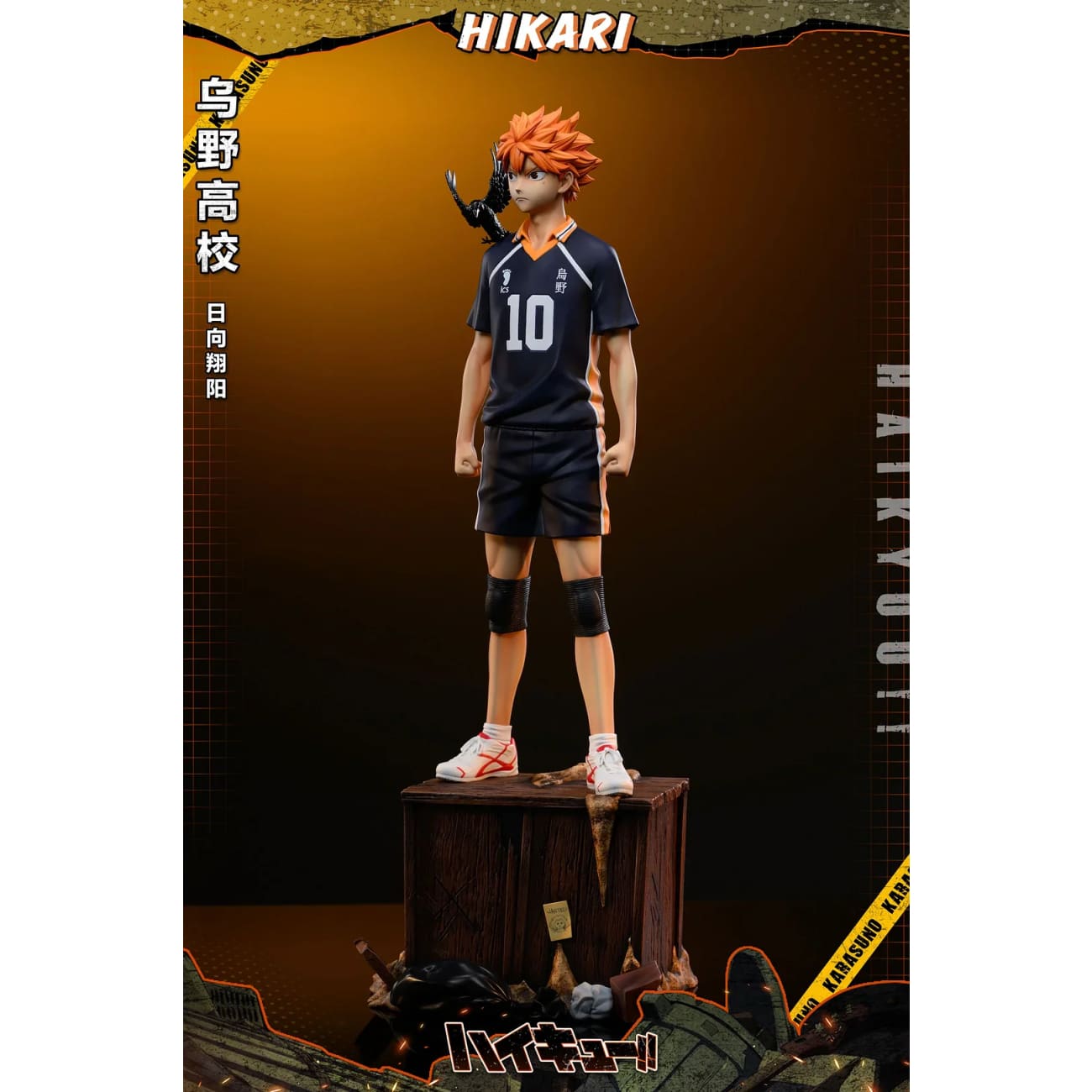 HIKARI Studio - Shoyo Hinata
