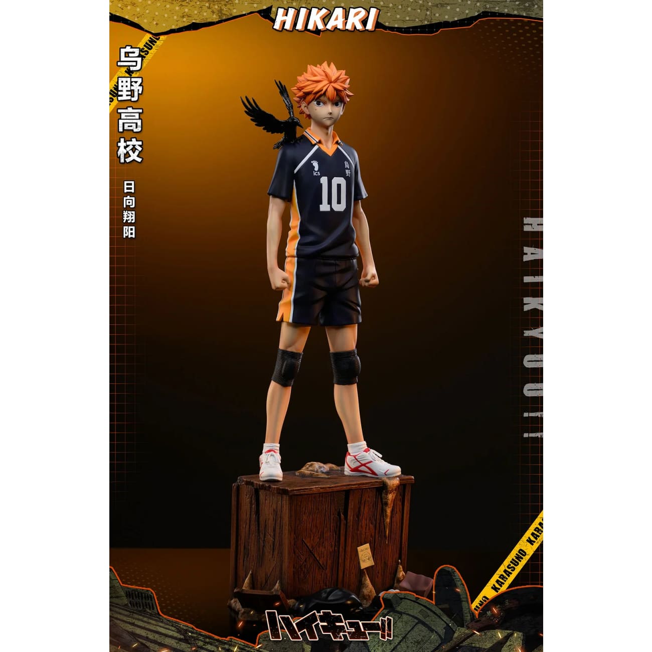 HIKARI Studio - Shoyo Hinata