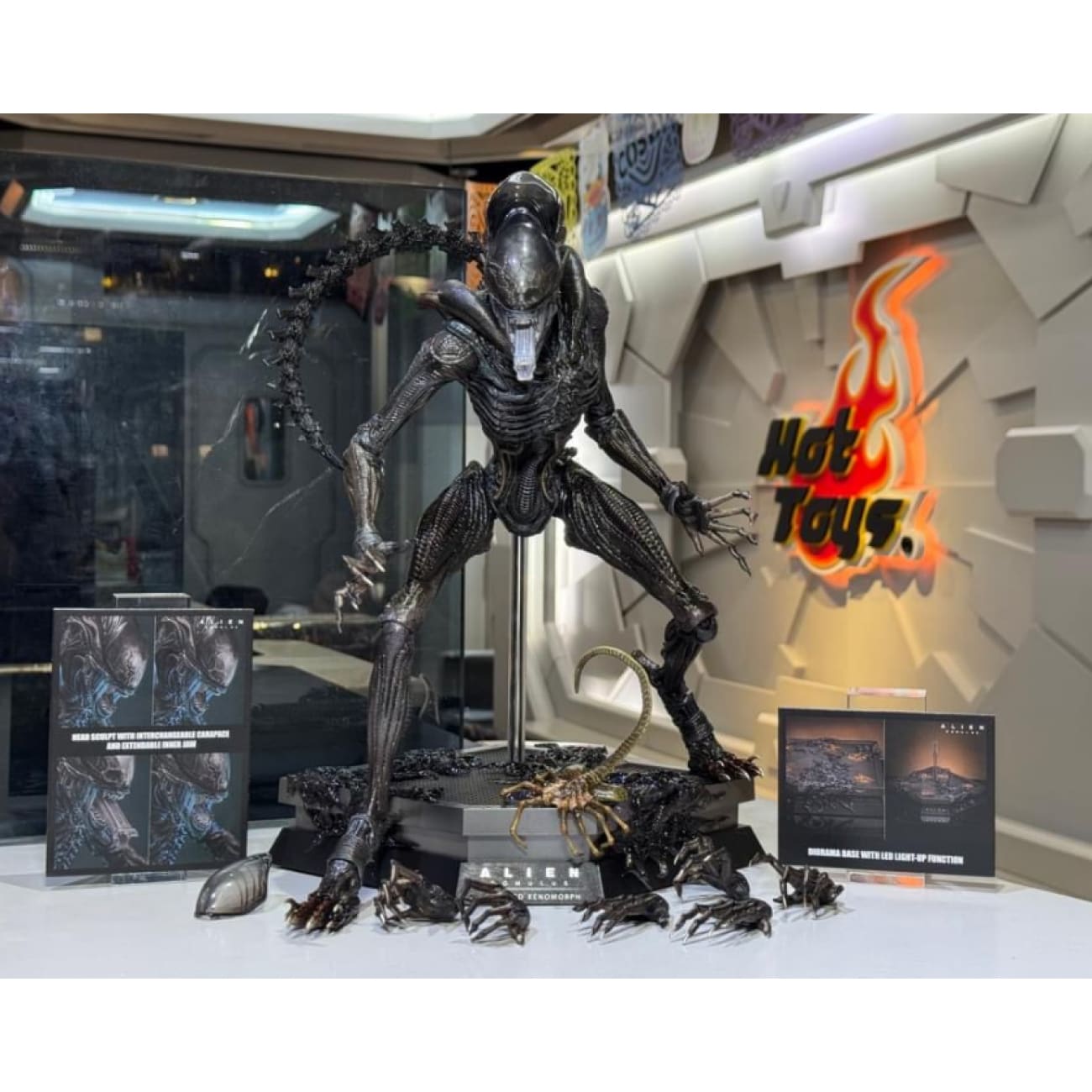 Hot Toys - Alien [MMS784]