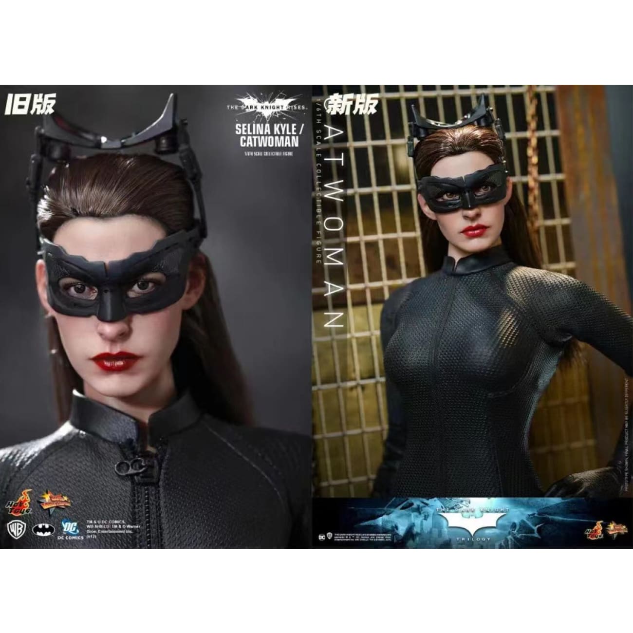 Hot Toys - Catwoman by Anne Hathaway [PVC]
