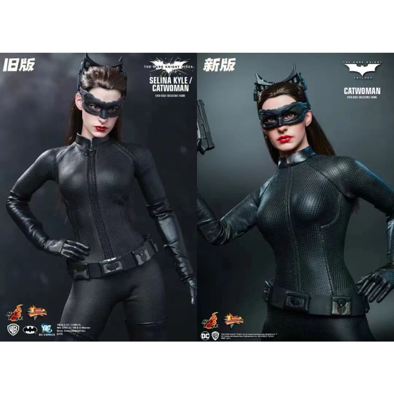 Hot Toys - Catwoman by Anne Hathaway [PVC]