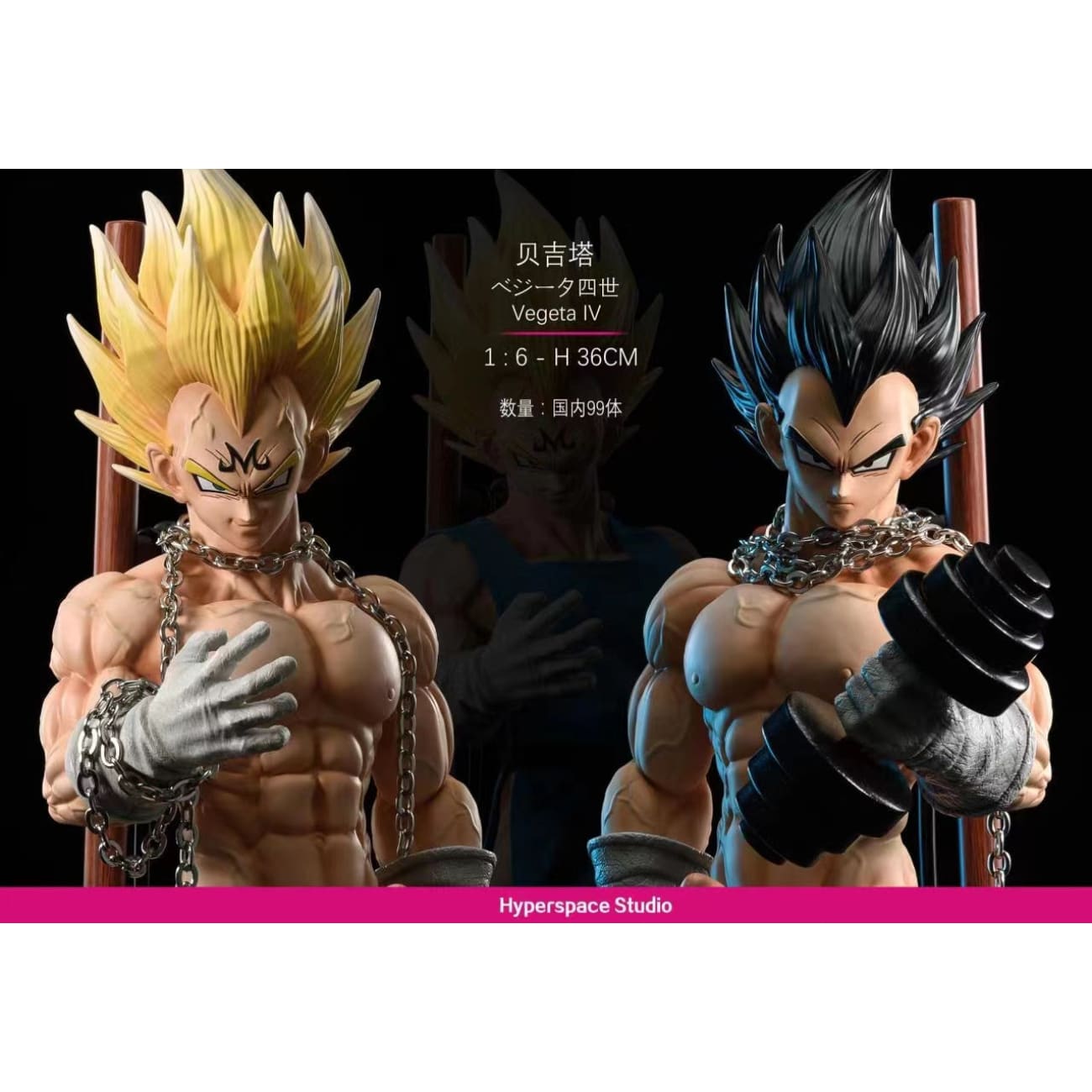 Hyperspace Studio - Vegeta IV