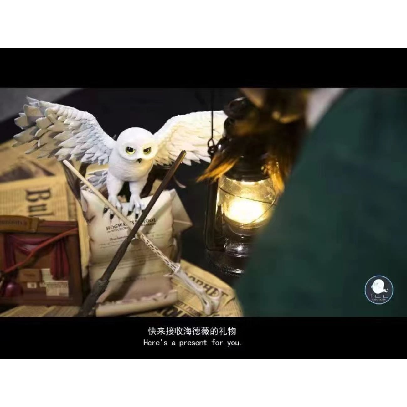 ILLEGAL Factory - 003 table display and Hedwig