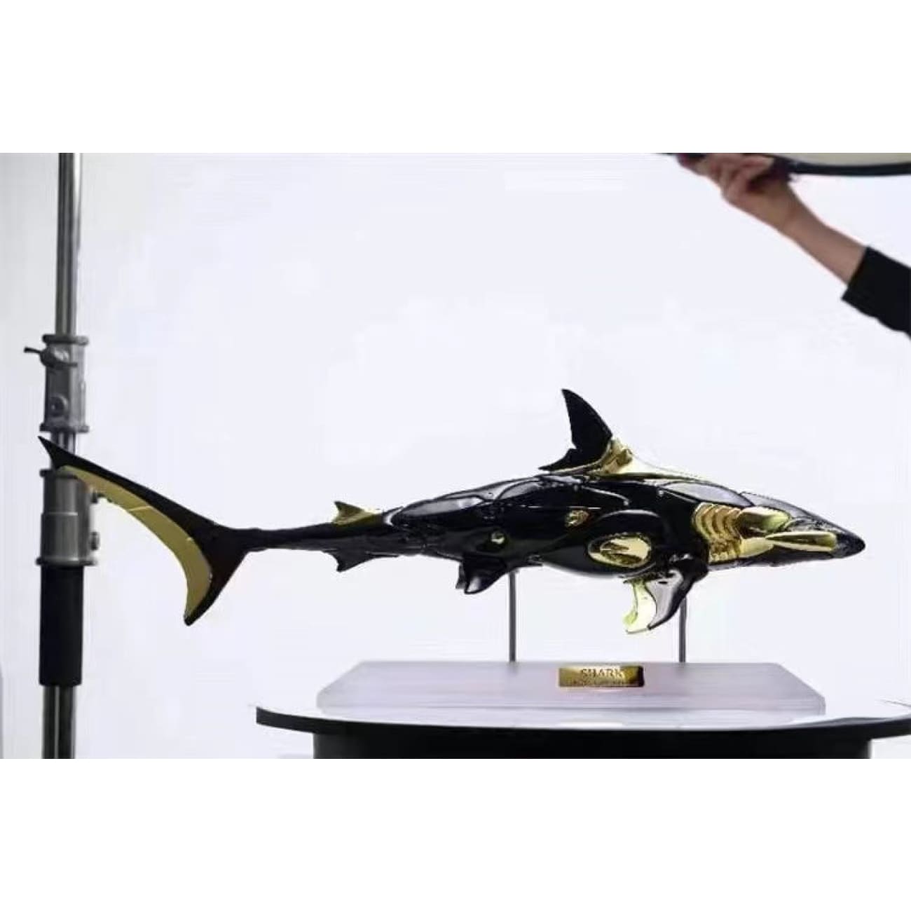 Imagine Lion Studio - Shark [Black Gold / White Gold]