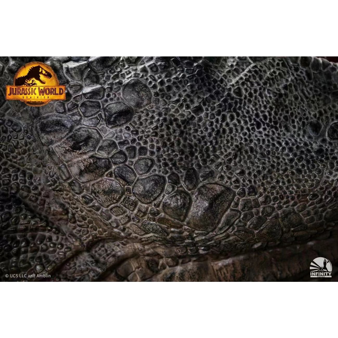 Infinity Studio - Giganotosaurus