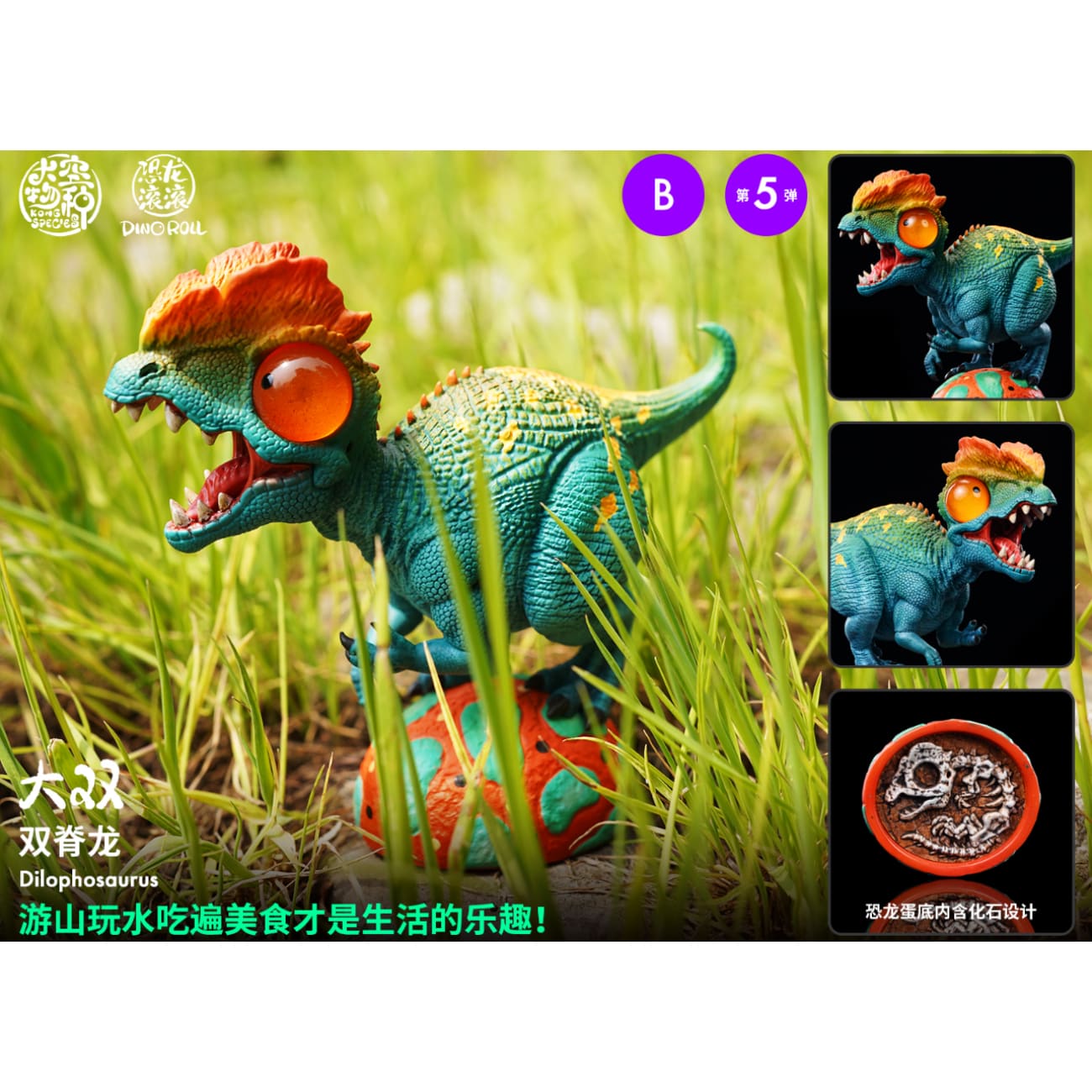 Kong Species Studio - Dinosaur Rolling 05  [6 Variants]